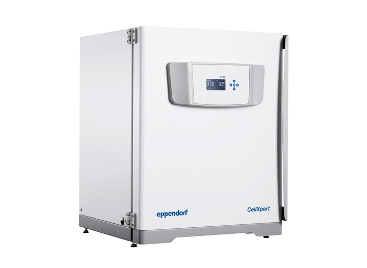 CellXpert® C170 and C170i 超大容量二氧化碳保温箱，占地面积小。
